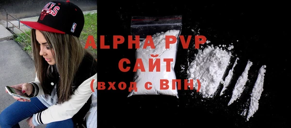 прущие грибы Бородино
