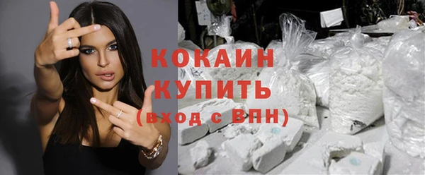 прущие грибы Бородино
