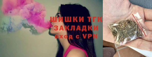 прущие грибы Бородино
