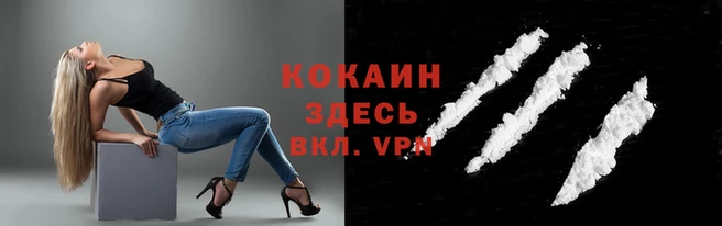 прущие грибы Бородино