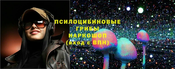 прущие грибы Бородино