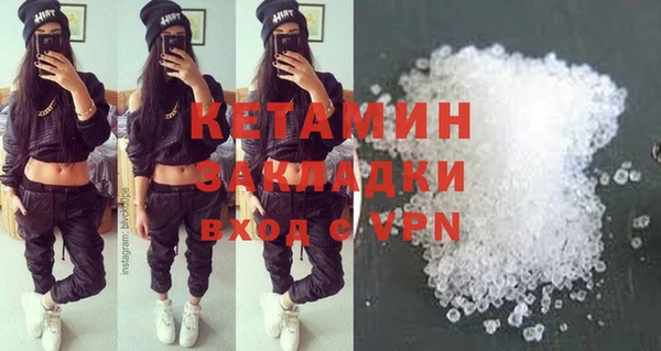 прущие грибы Бородино