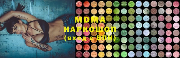 прущие грибы Бородино